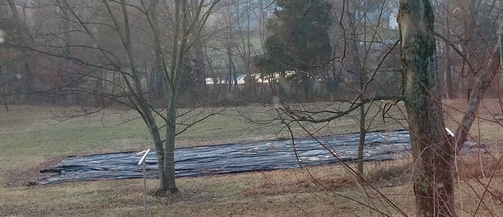 My garden over the winter